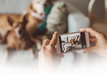 A member using their phone to take a photo for the cover of their custom card