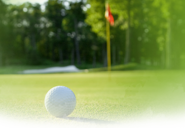 GTE Scholarship Scramble